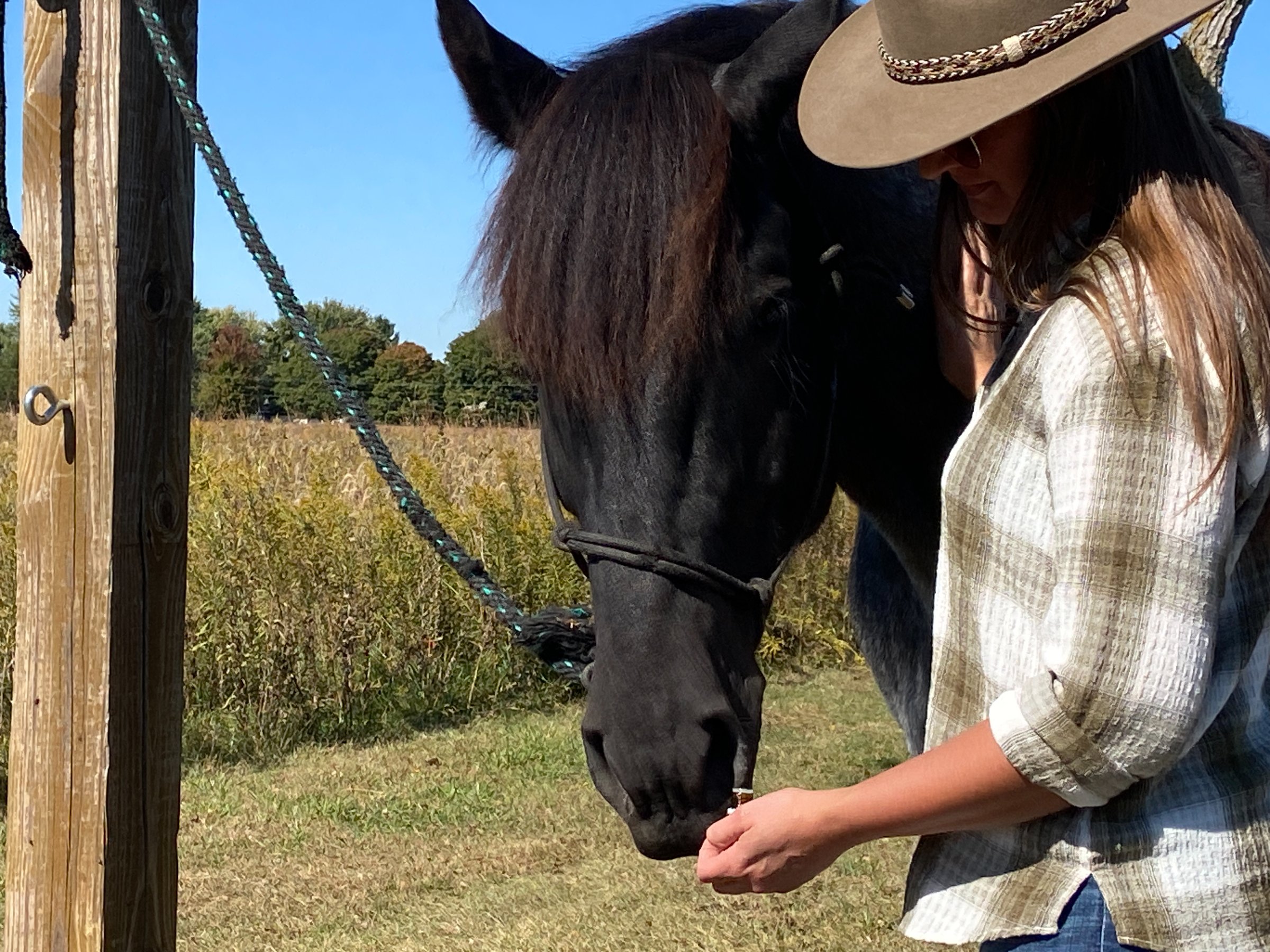 Holly with the horses