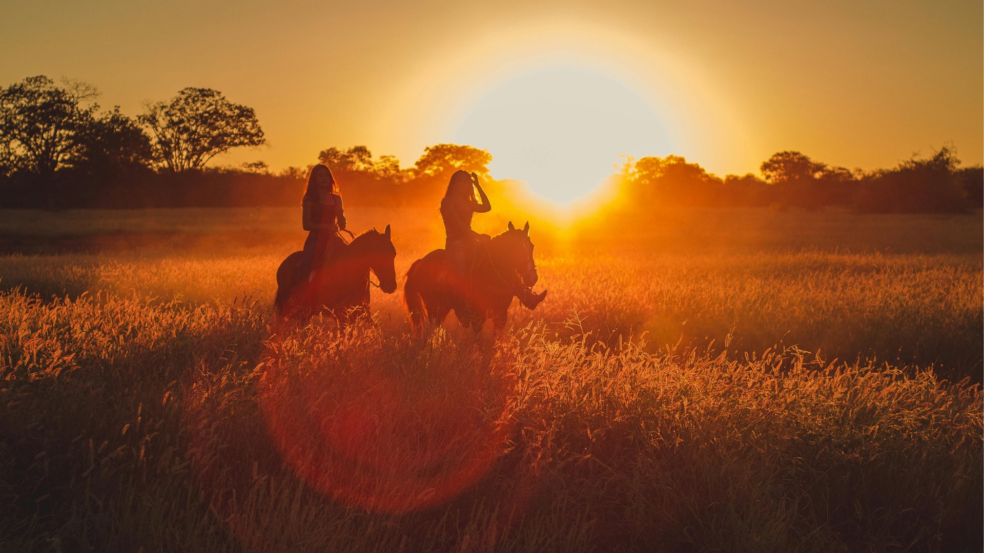 Saddle & Soul